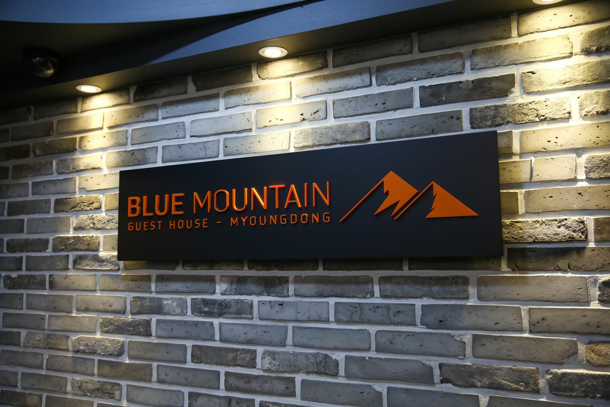 Hotel Blue Mountain Myeong-Dong Seúl Exterior foto