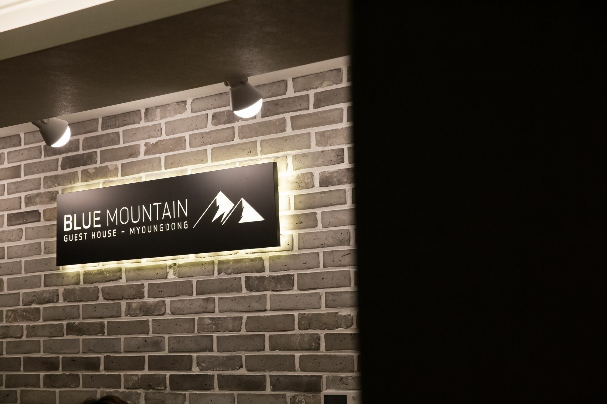 Hotel Blue Mountain Myeong-Dong Seúl Exterior foto